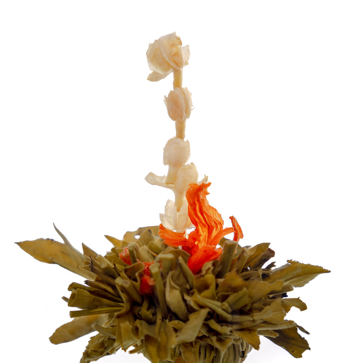 Blooming Green Tea Ball Gift Mix