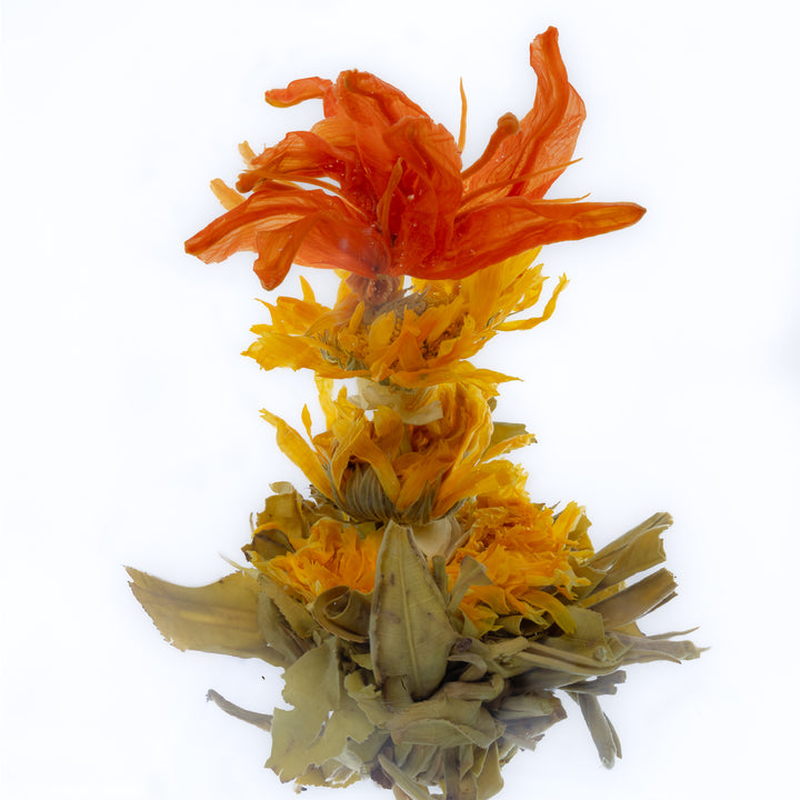 Blooming Green Tea Ball Gift Mix