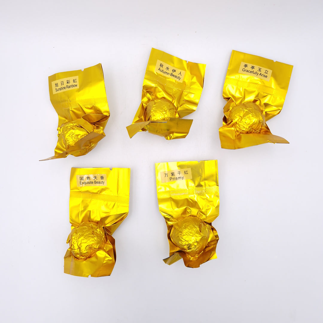 Blooming Green Tea Ball Discovery Mix