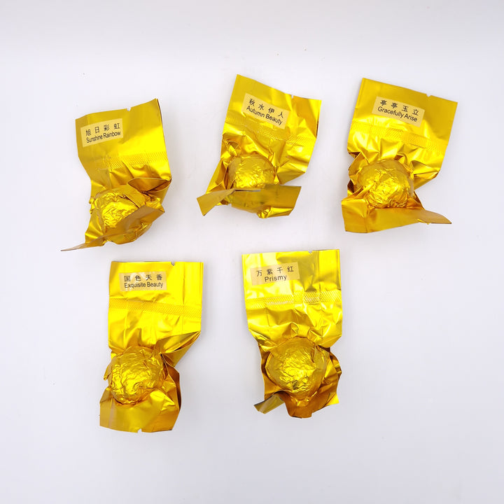 Blooming Green Tea Ball Discovery Mix