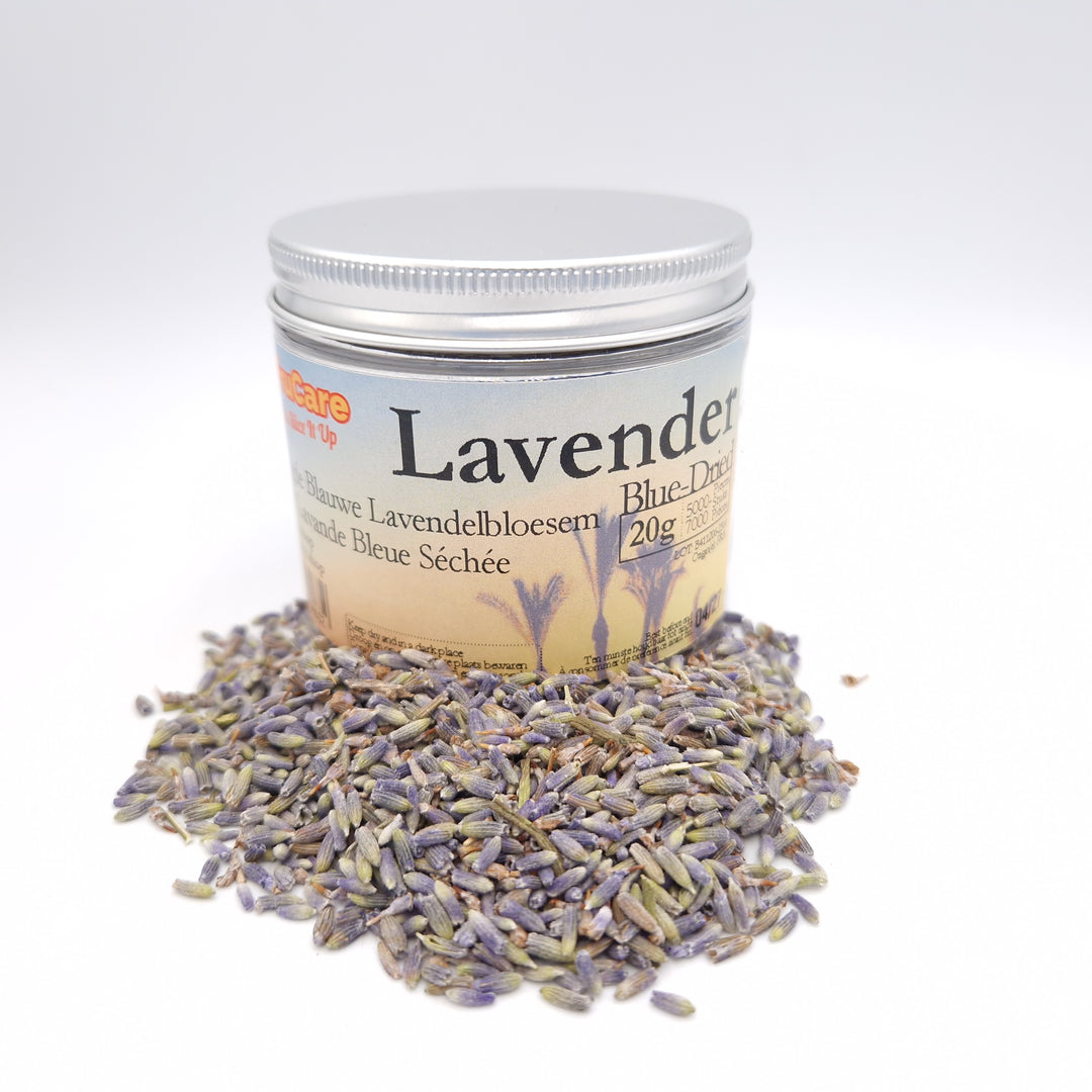 Dried Blue Lavender