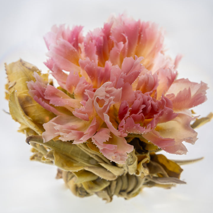 Blooming Green Tea Ball Discovery Mix