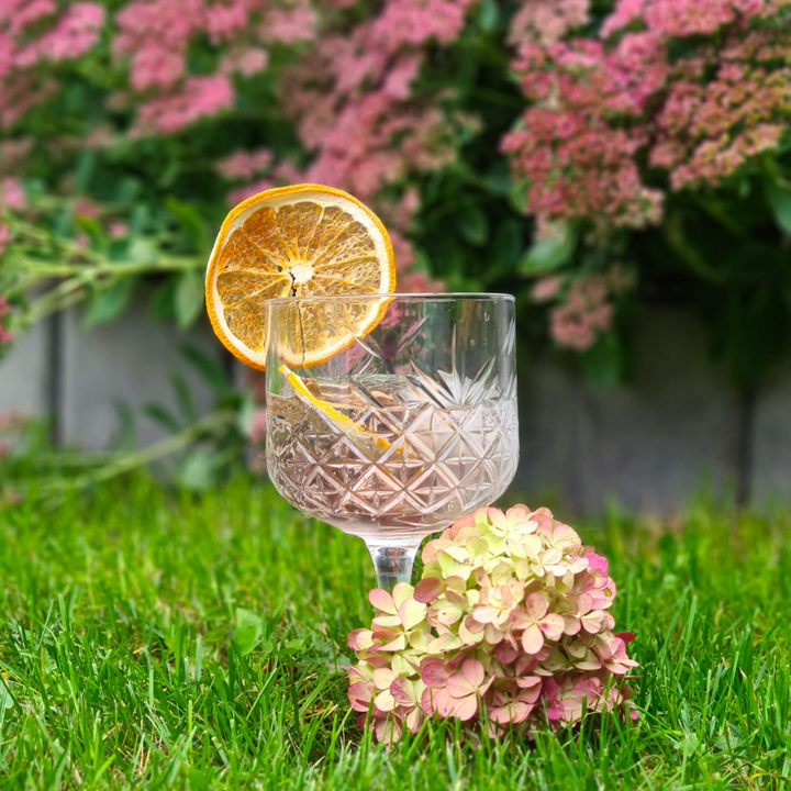 Dried White Grapefruit Slices