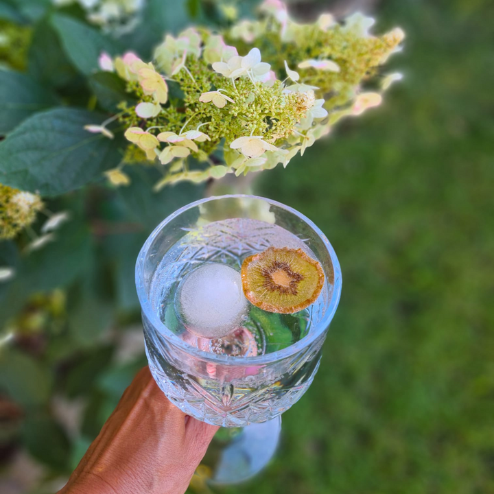 Dried Green Kiwi Slices